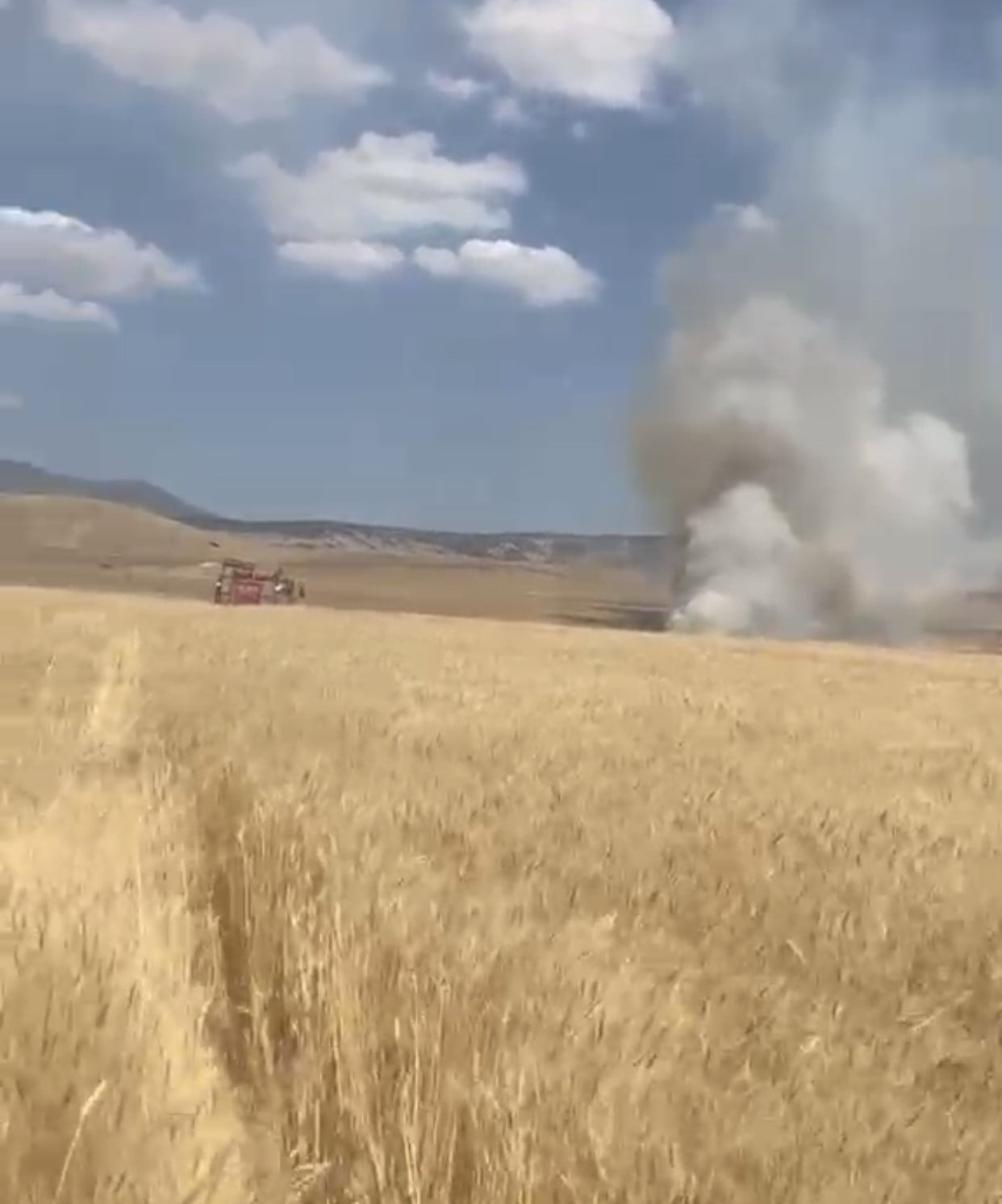 ELAZIĞ’IN KARAKOÇAN İLÇESİNDE ÇIKAN YANGINDA  15 DÖNÜM BUĞDAY İLE 20 DÖNÜM ARPA EKİLİ ALAN YANARAK...