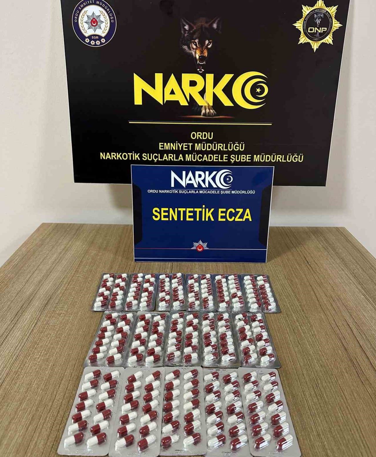 ELE GEÇİRİLEN SENTETİK ECZALAR