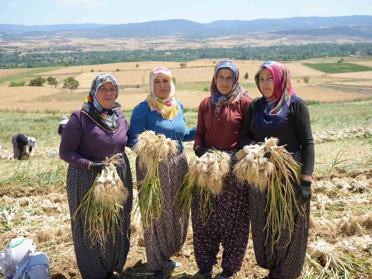 ELİFE ÖZ (SOLDAN İKİNCİ), YÜKSEL KONYALI (SOLDAN ÜÇÜNCÜ) SARIMSAK TARLALARINDA ÇALIŞARAK EV...