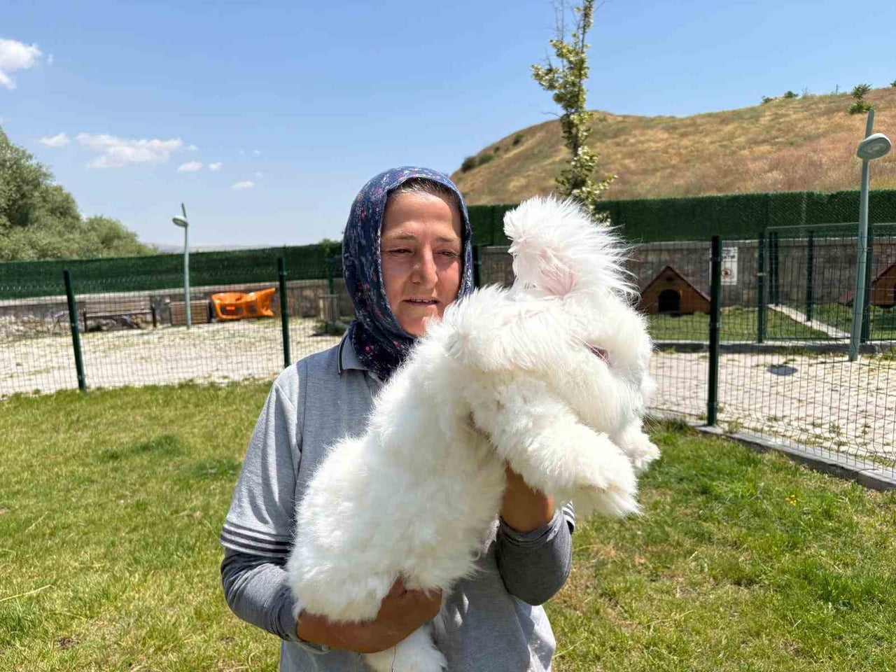 ELMADAĞ BELEDİYESİ’NİN RENKLİ KÖY PROJESİ KAPSAMINDA OLUŞTURULAN TAVŞAN BAHÇESİ’NDE ANKARA...