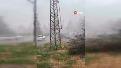 Erbaa'da yağmur ve fırtına ağacı devirdi