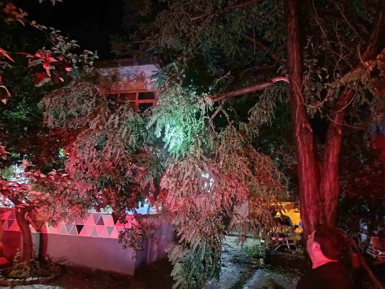 ERDEK'TE FIRTINA VE DOLU NEDENİYLE AĞAÇLAR DEVRİLDİ, ÇATILAR UÇTU