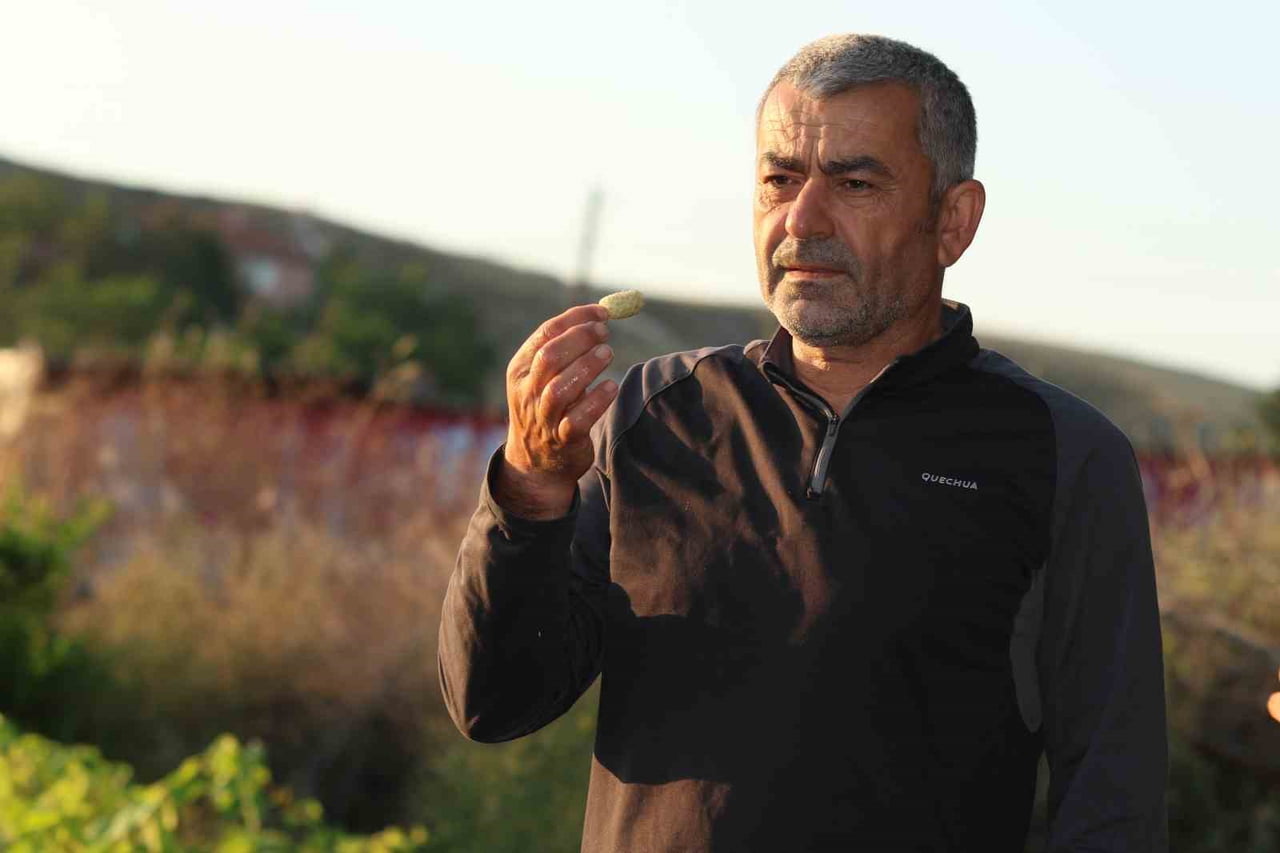 ERSİN KAYA,
