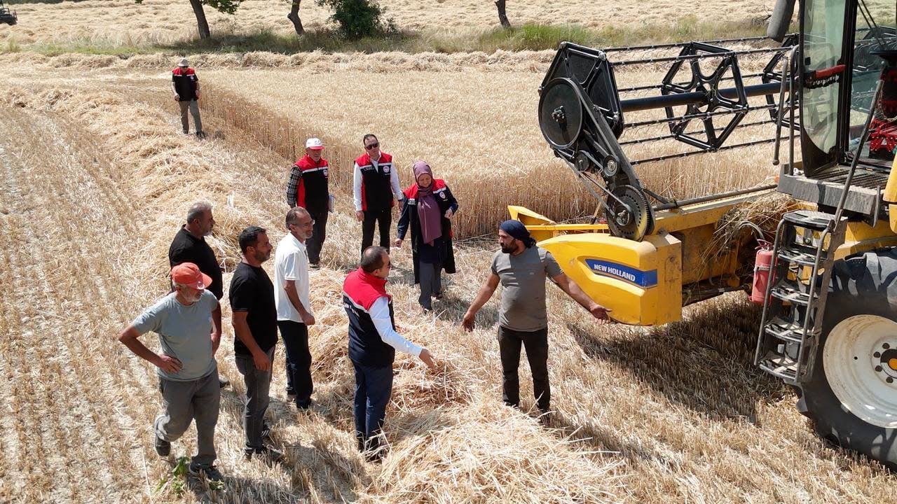 ERZİNCAN'DA BUĞDAY HASADI DEVAM EDERKEN, ÜRETİCİLERİN BİR YILLIK EMEĞİNİN KORUNMASI AMACIYLA...