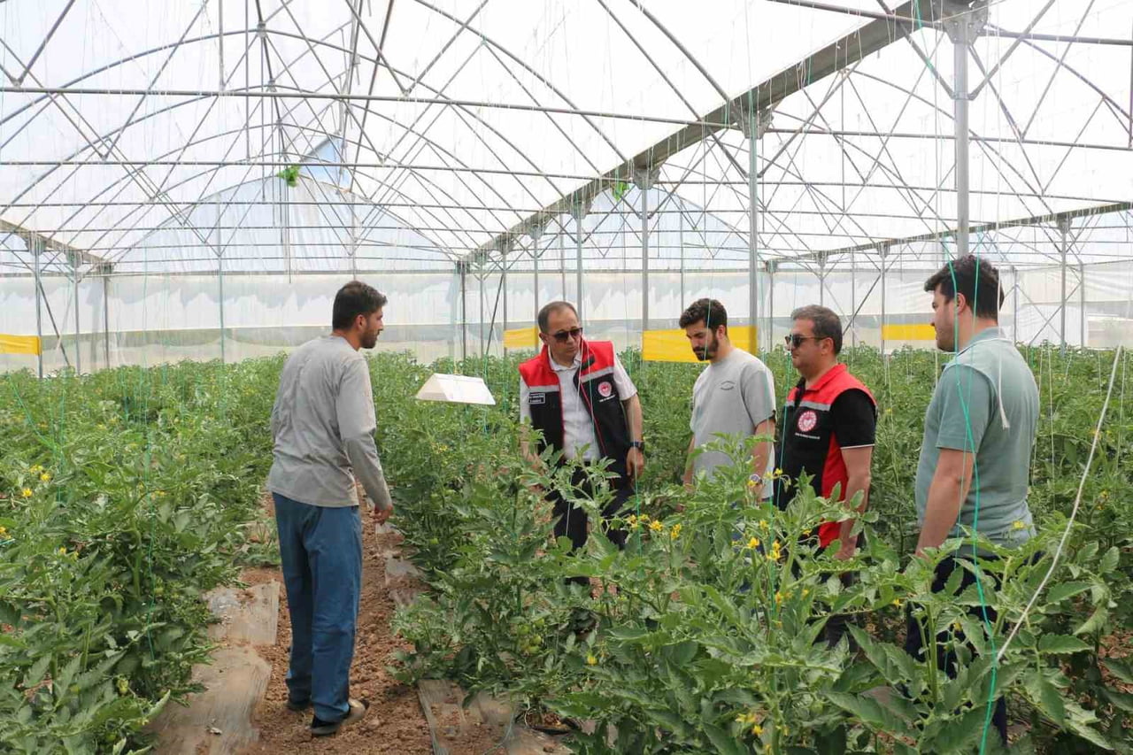 ERZİNCAN'DA SERACILIK FAALİYETLERİ YERİNDE İNCELENDİ
