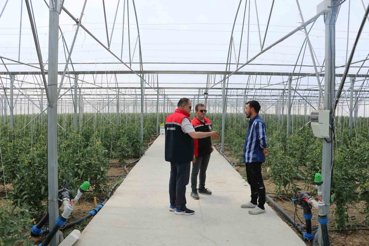 ERZİNCAN'DA SERACILIK FAALİYETLERİ YERİNDE İNCELENDİ
