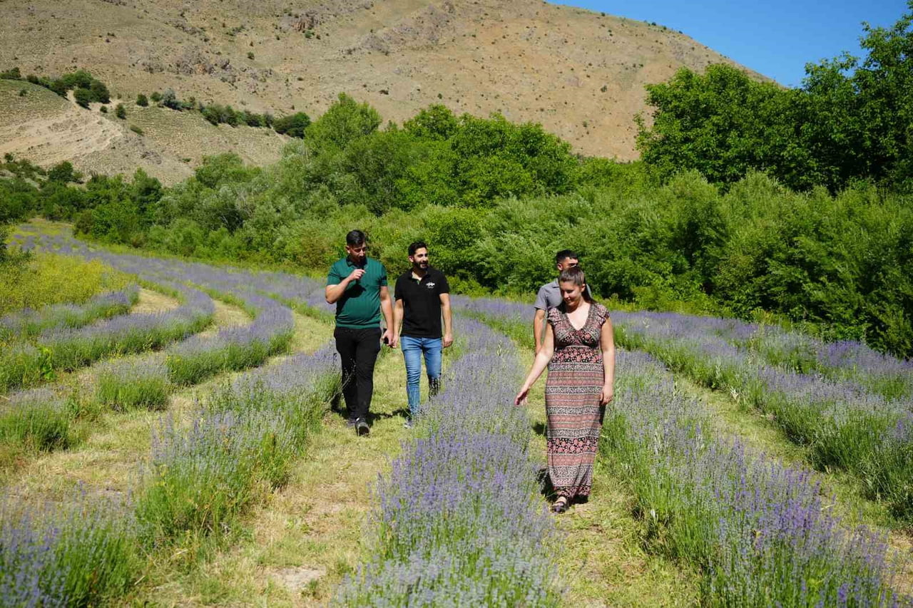 ERZİNCAN'DAKİ LAVANTA BAHÇESİ ZİYARETÇİLERİN İLGİ ODAĞI OLDU