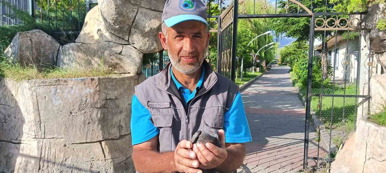 ERZURUM'UN OLTU İLÇESİNDE GÖREV YAPAN BELEDİYE TEMİZLİK PERSONELİ MÜCAHİT ÖZTÜRK, UÇAMAYAN BİR...