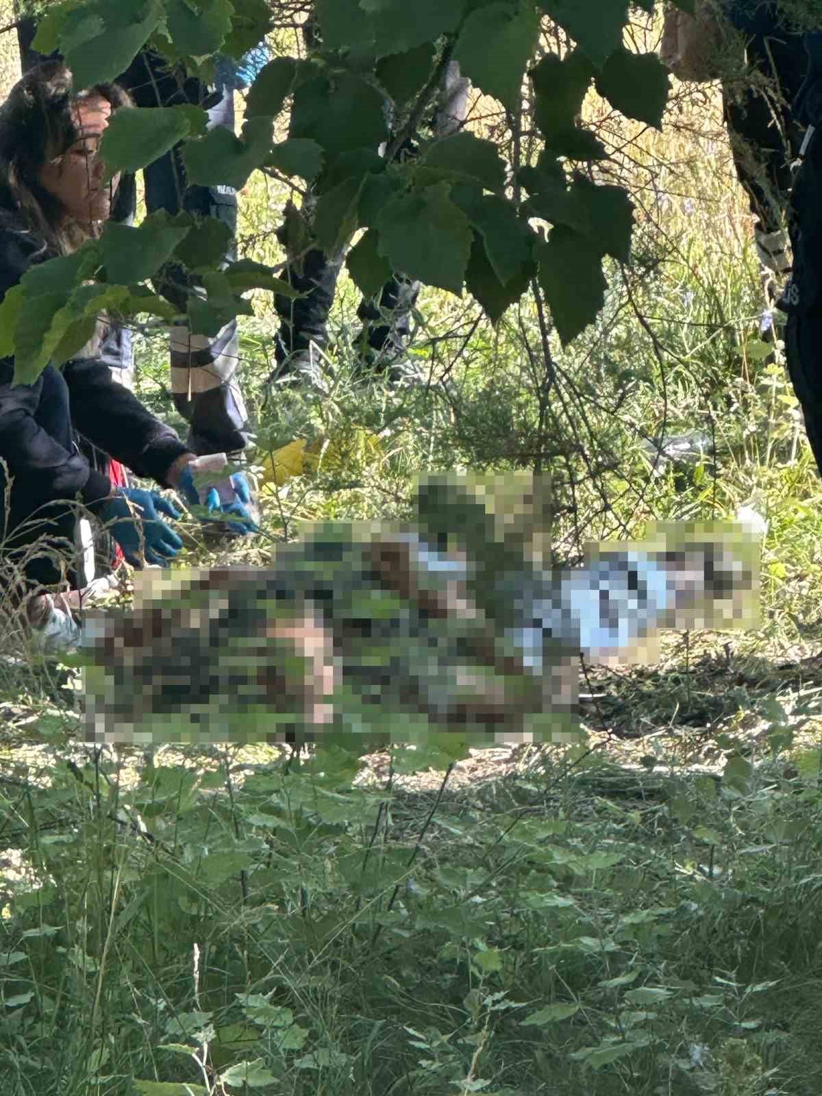 ESKİŞEHİR'DE AĞAÇLIK ALANDA CANSIZ BEDENİ BULUNAN ŞAHSIN ÖLÜMÜ ŞÜPHELİ BULUNARAK İNCELEME...