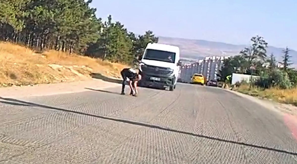 ESKİŞEHİR'DE BİR SÜRÜCÜ, YOL ORTASINDA KALAN KAPLUMBAĞAYI KURTARDI