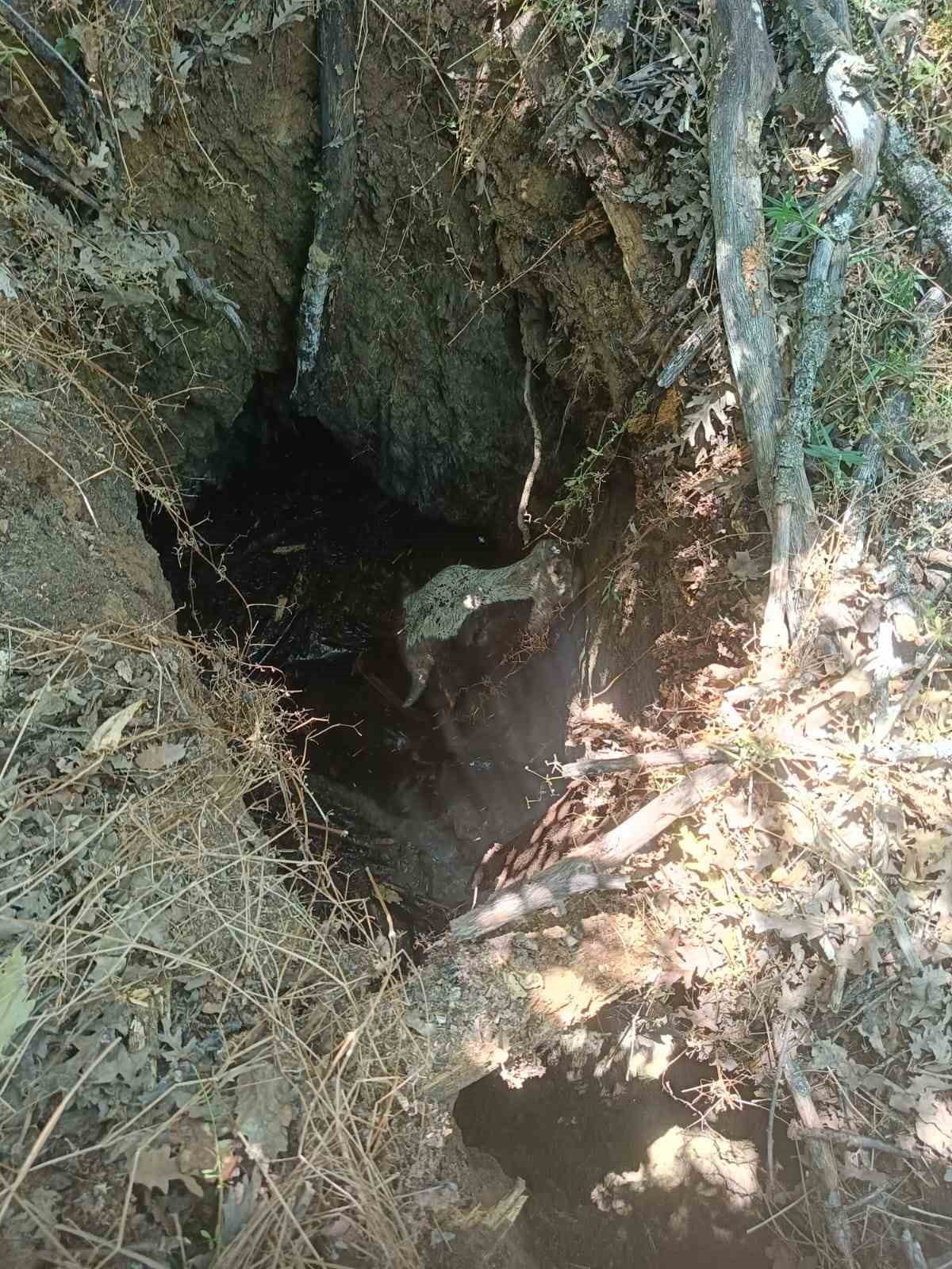 ESKİŞEHİR'DE DEFİNECİLER TARAFINDAN KAZILAN DERİN ÇUKURA DÜŞEN DANA, AFAD EKİPLERİ VE MAHALLE...