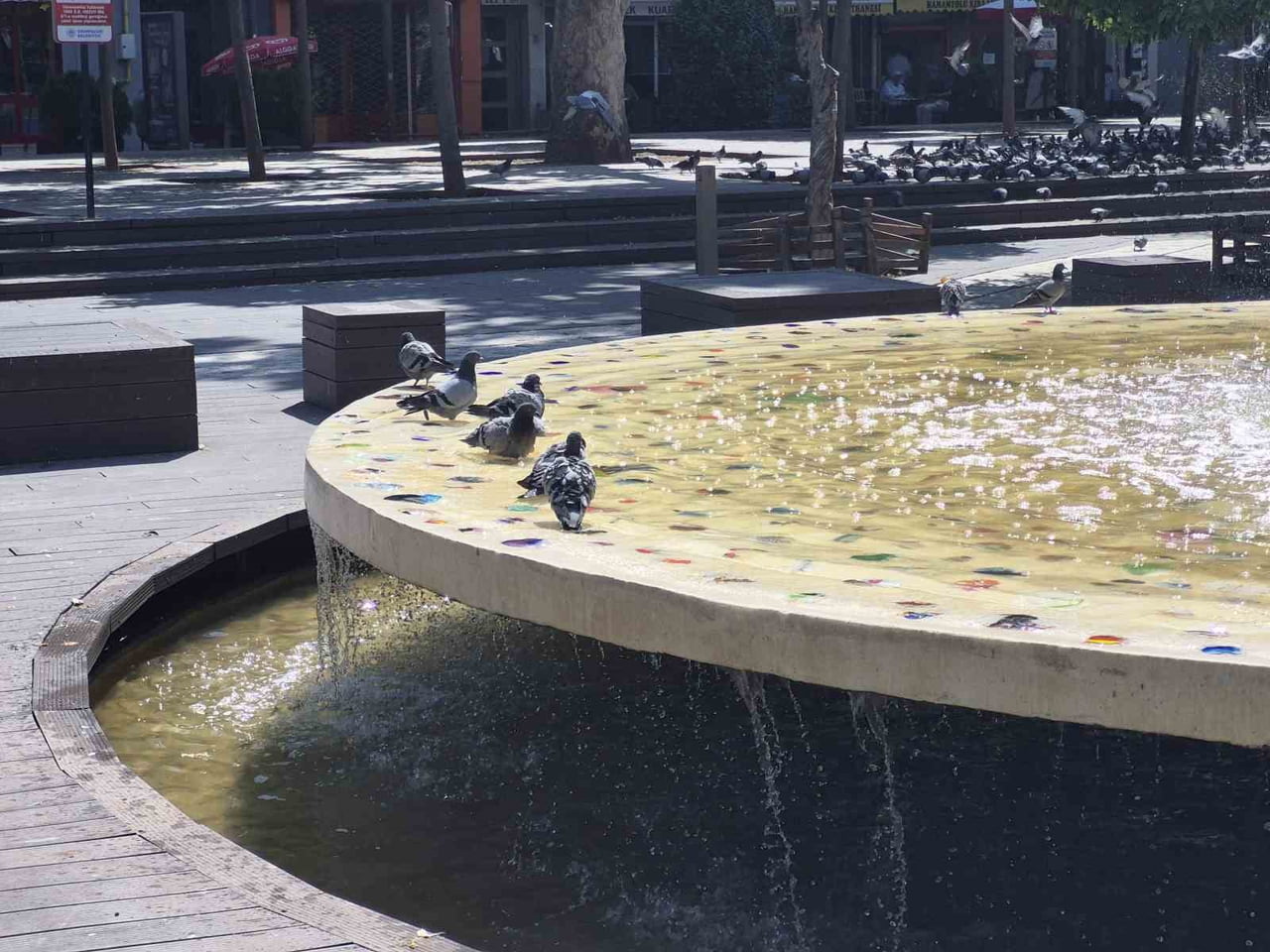ESKİŞEHİR'DE ETKİLİ OLAN SICAKLAR NEDENİYLE ZOR ANLAR YAŞAYAN KUŞLAR, HAMAMYOLU CADDESİ'NDEKİ SÜS...