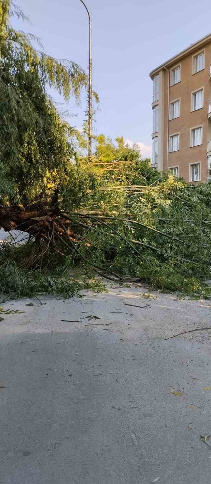 ESKİŞEHİR'DE ŞİDDETLİ RÜZGARIN ETKİSİYLE PARKTA BULUNAN AĞAÇ GÖVDESİNDEN KIRILARAK...