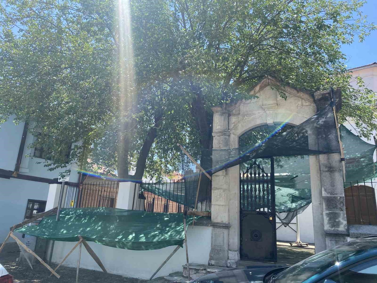ESKİŞEHİR AKCAMİ MAHALLESİNDE BULUNAN AK CAMİNİN BAHÇESİNDEKİ DUT AĞACINDAN DÖKÜLEN MEYVELERİN...