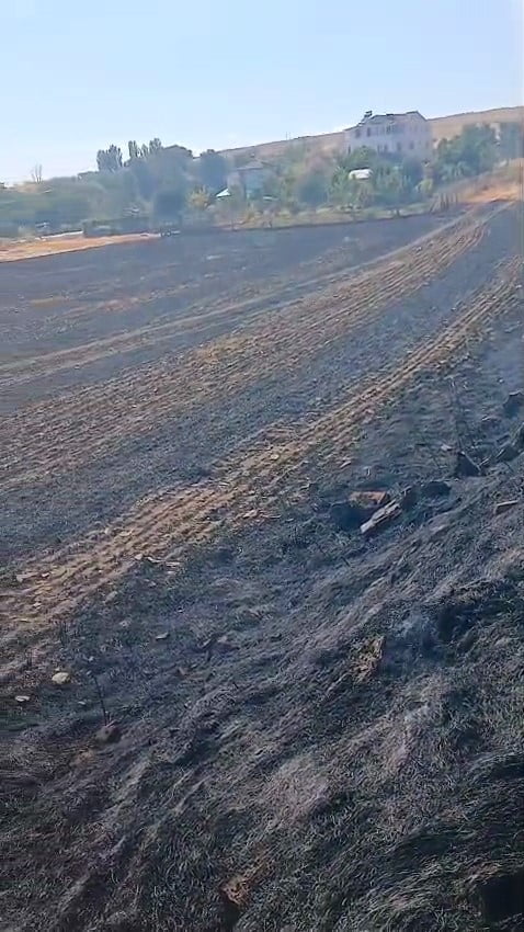 ESKİŞEHİR’DE BİR EVİN BAHÇESİNDE ÇIKAN OT YANGINI, İTFAİYE EKİPLERİNİN MÜDAHALESİYLE DAHA FAZLA...