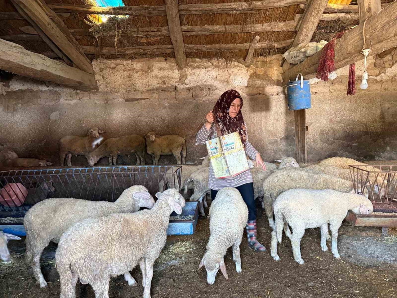 ESKİŞEHİR’DE ‘HAYVANLARINA BÜYÜ YAPTIĞI’ GEREKÇESİYLE YALÇIN NAMAL TARAFINDAN ÖNCE OTOMOBİLLE...