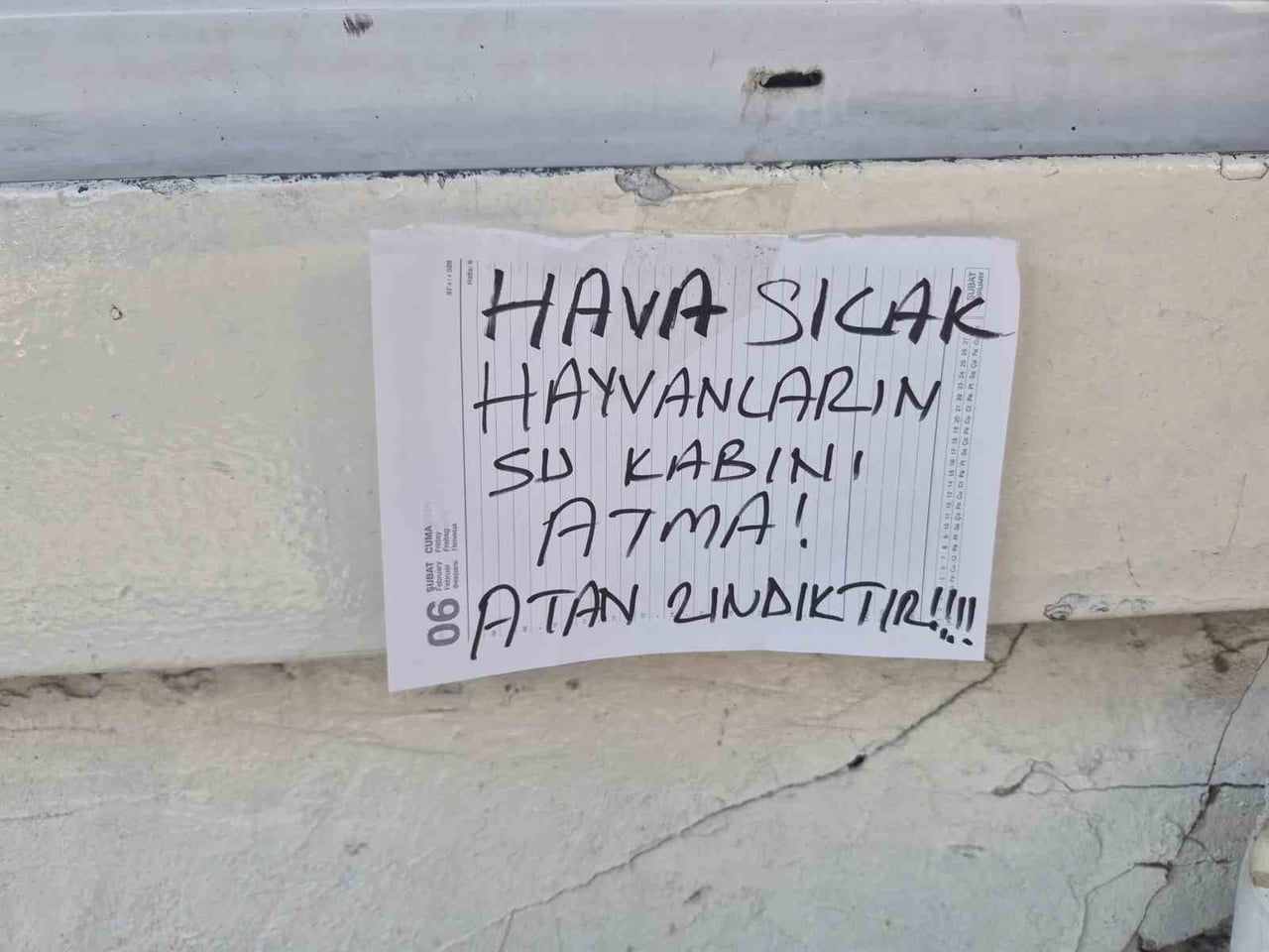 ESKİŞEHİR’DE SOKAK KEDİLERİ İÇİN KENDİ İMKANLARIYLA YUVA YAPIP MAMA VE SU BIRAKAN BİR VATANDAŞ, SU...