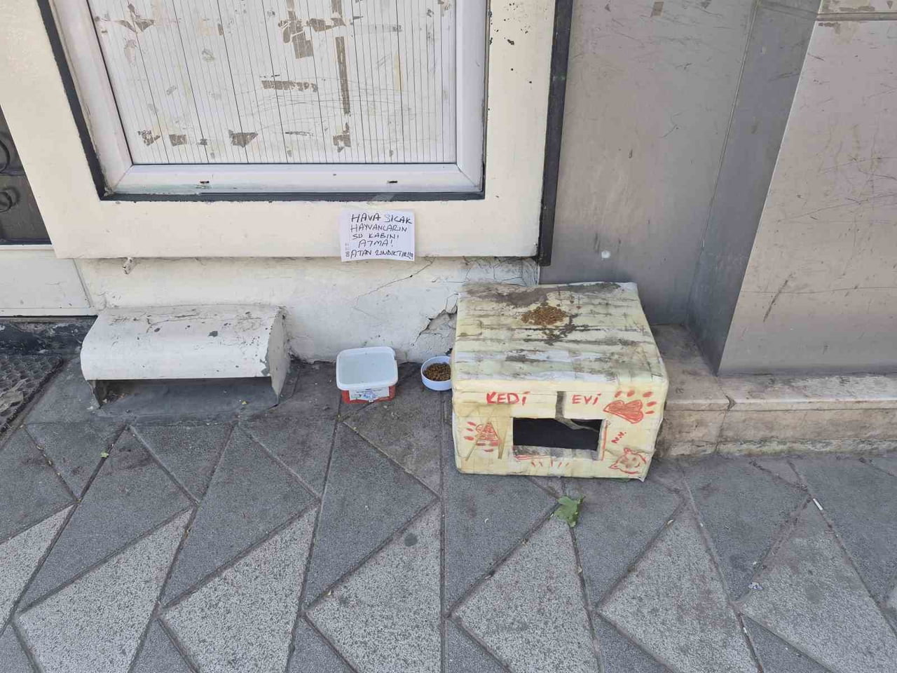 ESKİŞEHİR’DE SOKAK KEDİLERİ İÇİN KENDİ İMKANLARIYLA YUVA YAPIP MAMA VE SU BIRAKAN BİR VATANDAŞ, SU...