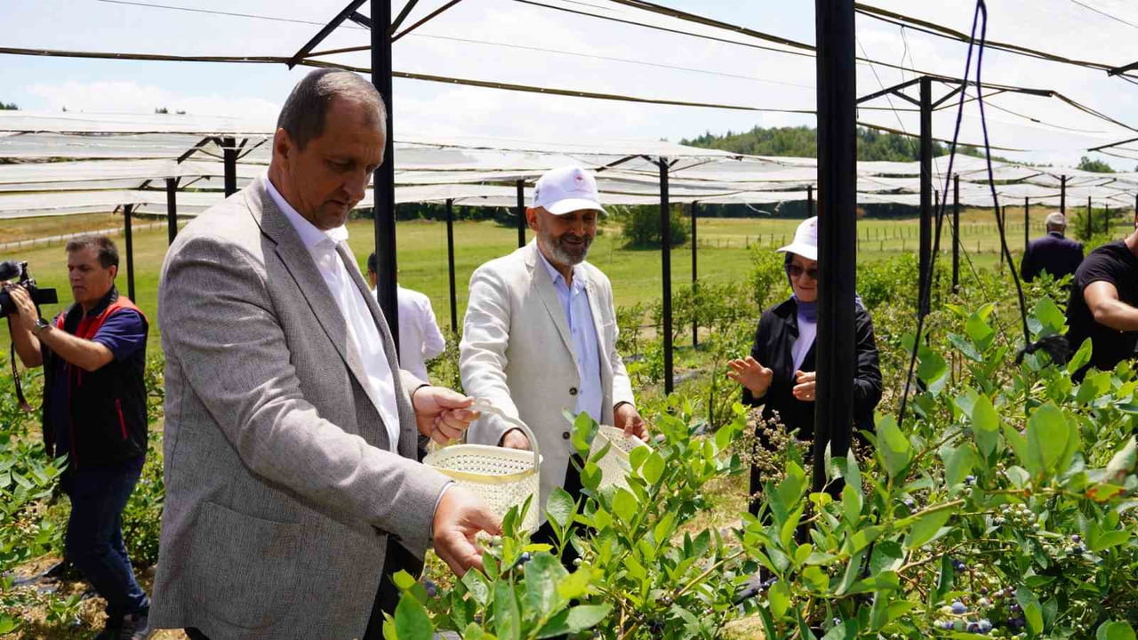 ETKİNLİĞE İZNİK KAYMAKAMI ARİF KARAMAN, İZNİK BELEDİYE BAŞKANI KAĞAN MEHMET USTA, AK PARTİ İZNİK...