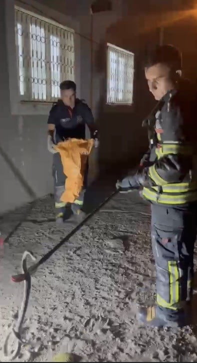 EVDE GÖRÜLEN ZEHİRLİ ENGEREK YILANI İTFAİYE EKİPLERİNCE YAKALANDI