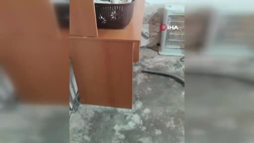Evin yatak odasına giren 2 metrelik yılan böyle çığlık attırdı