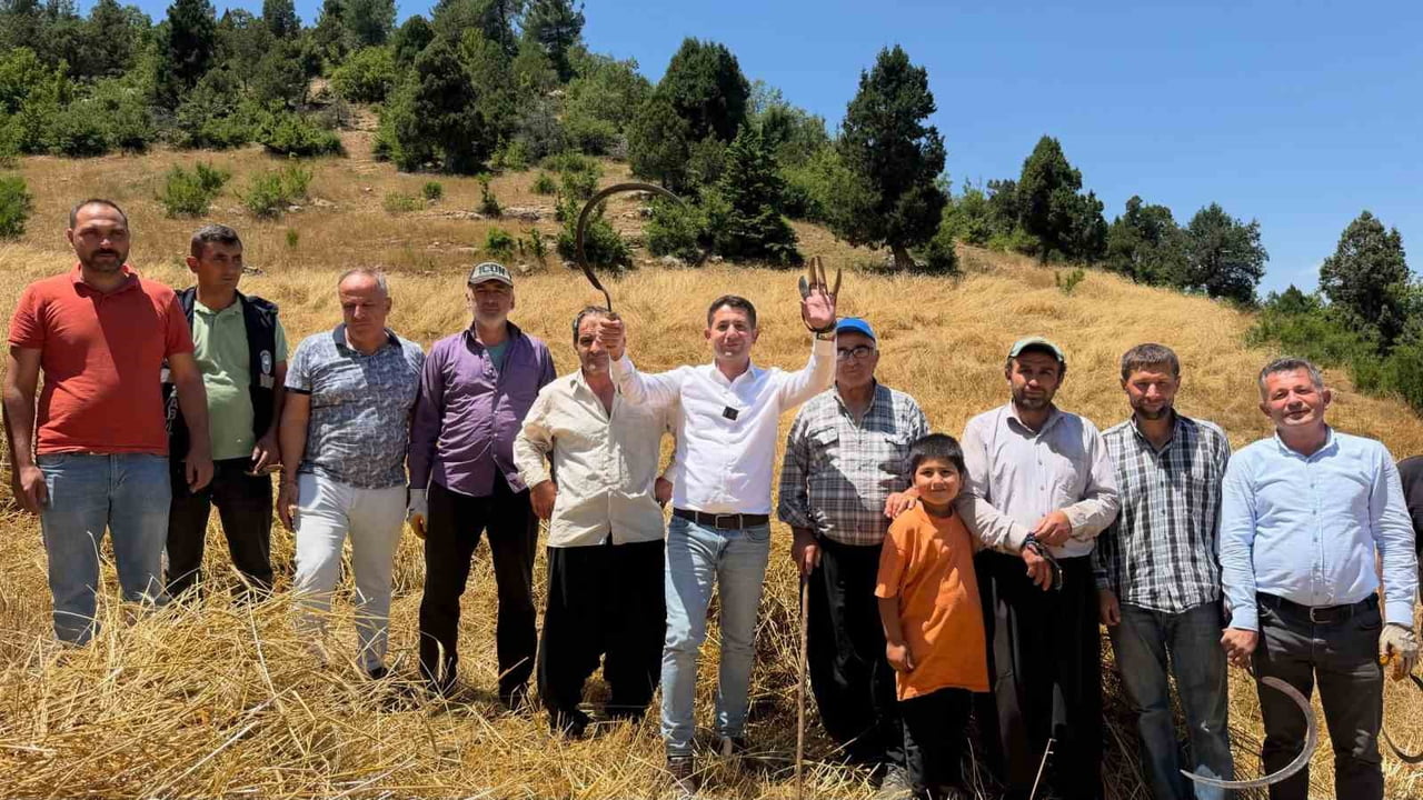 FEKE BELEDİYE BAŞKANI CÖMERT ÖZEN ELLİK VE ORAKLA HASAT YAPAN TOROS DAĞI ETEKLERİNDEKİ MAHALLE...