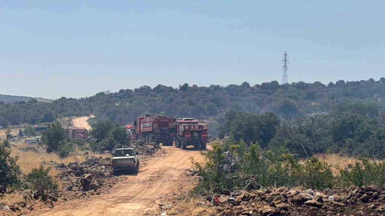 GAZİANTEP'İN ŞEHİTKAMİL İLÇESİ KIRSALINDA ÇIKAN ORMAN YANGININA EKİPLERİN MÜDAHALESİ...