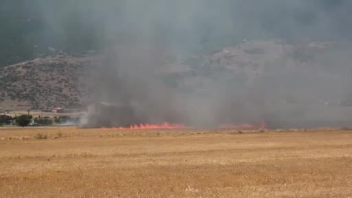 Gaziantep’te korkutan tarla yangını
