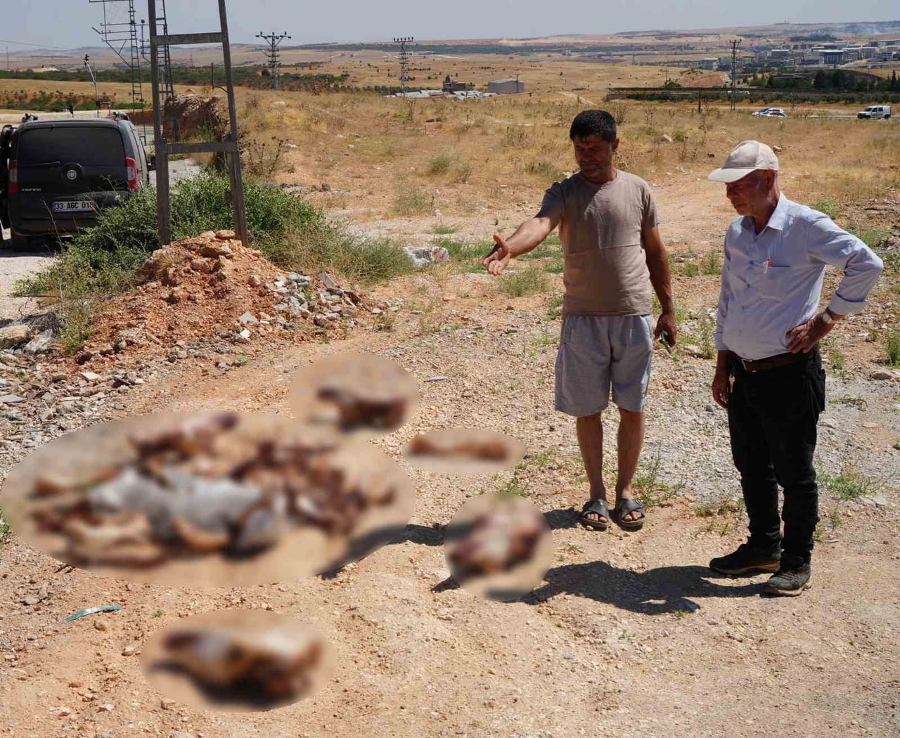 GAZİANTEP’TE YOL KENARINA BIRAKILAN AT KAFATASI VE KEMİKLERİ HAYRETE DÜŞÜRDÜ. O ANLARI CEP...