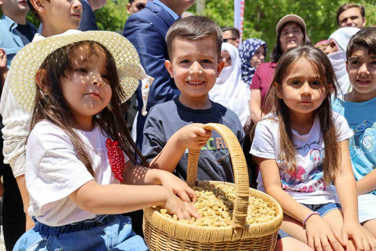 GEÇEN YIL ZİRAİ DON NEDENİYLE ÜRETİMİN YÜZDE 10'LARA KADAR DÜŞTÜĞÜ ULUKALE DUTU'NDA BU SEZON...