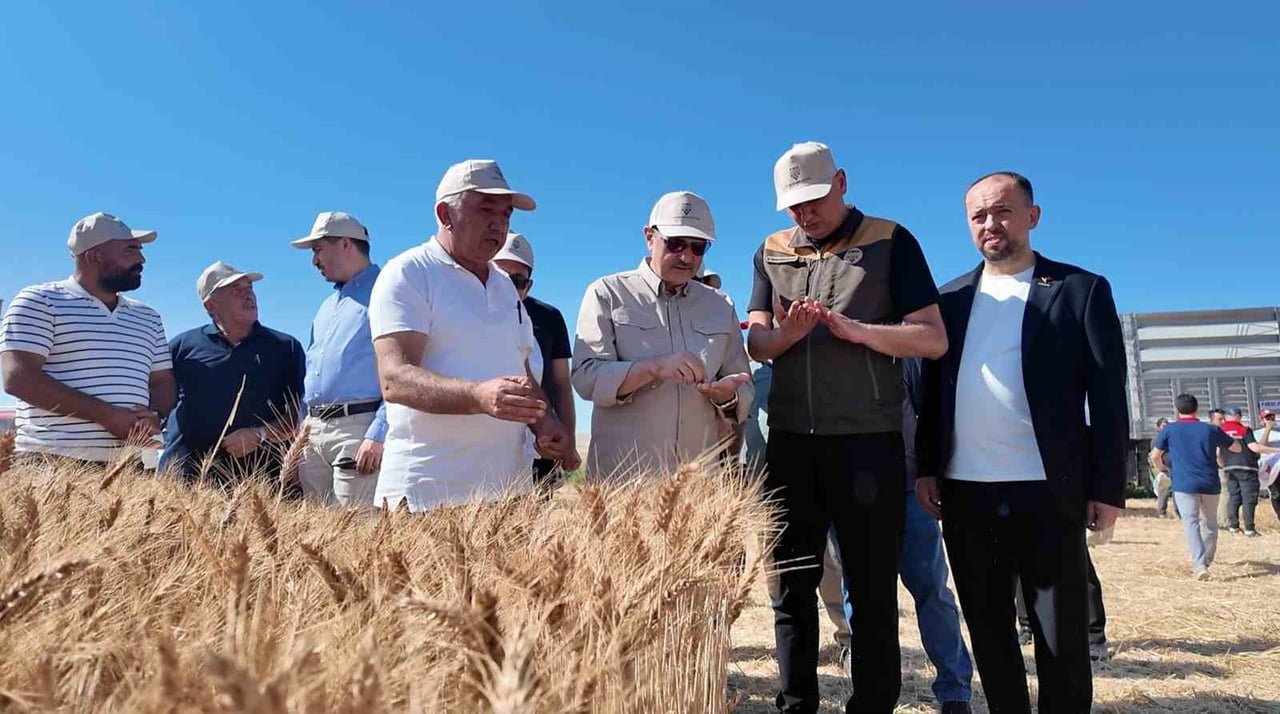 GEÇMİŞ DÖNEM ENERJİ VE TABİ KAYNAKLAR BAKANI FATİH DÖNMEZ, ESKİŞEHİR'İN KIRSAL KESİMLERİNDE BUĞDAY...