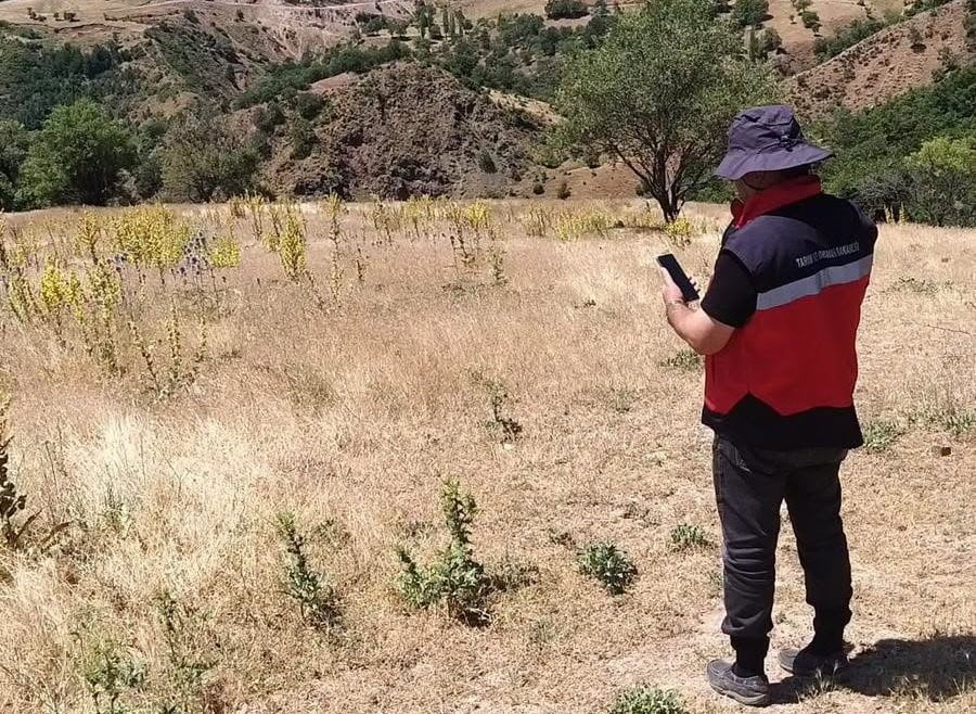 GEDİZ’DE BEYAN DOĞRULUĞU KONTROLLERİ SÜRÜYOR