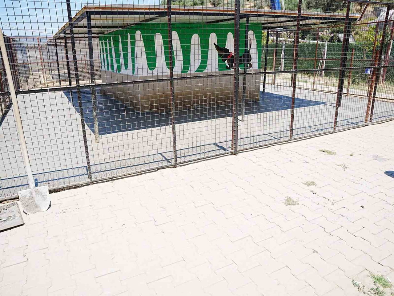 GERMENCİK BELEDİYE BAŞKANI BURAK ZENCİRCİ, VETERİNERLİK İŞLERİ MÜDÜRLÜĞÜ BÜNYESİNDE HİZMET VEREN...