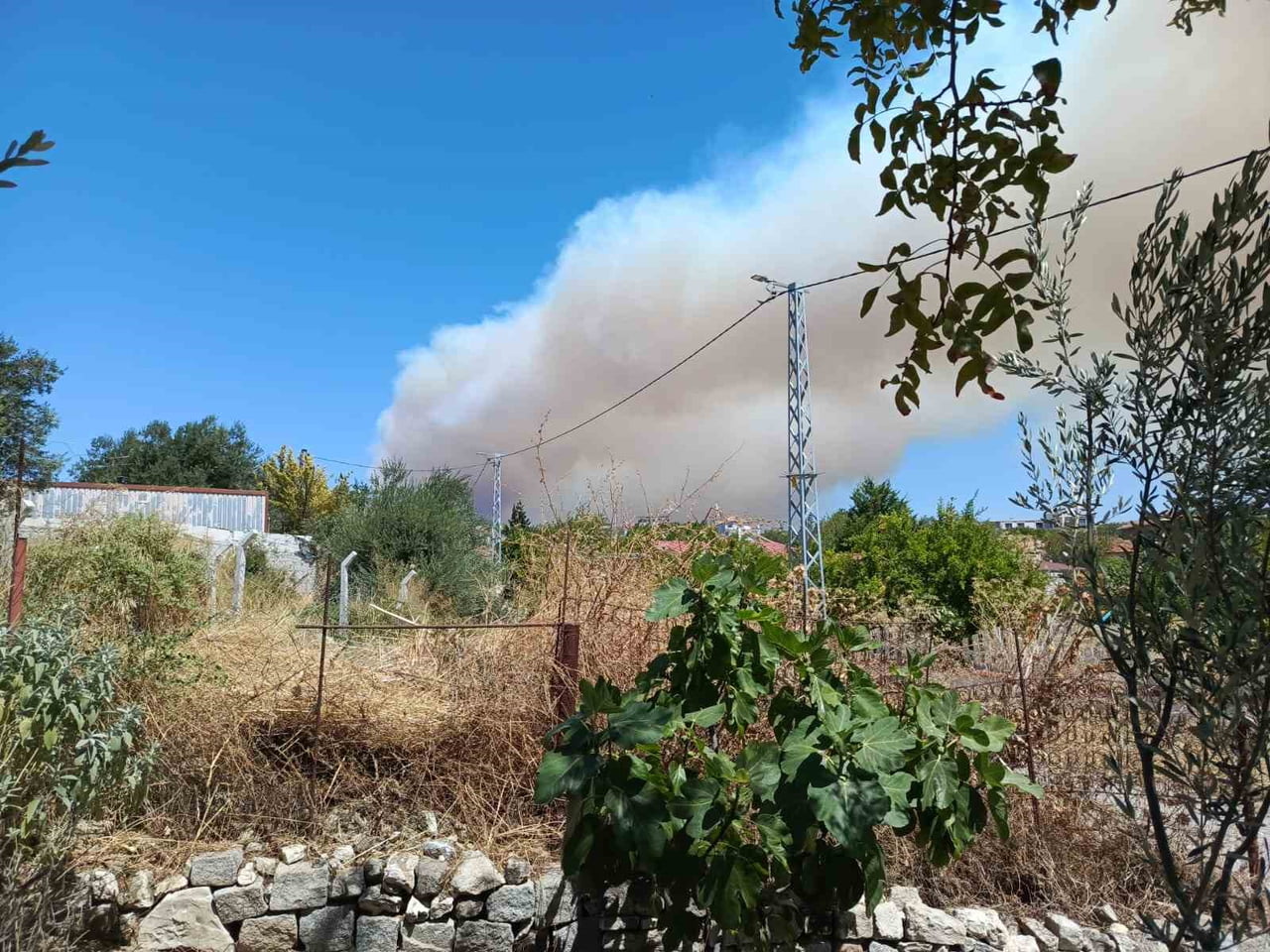 GÖMEÇ’TE ÇIKAN ORMAN YANGININA MÜDAHALE SÜRÜYOR