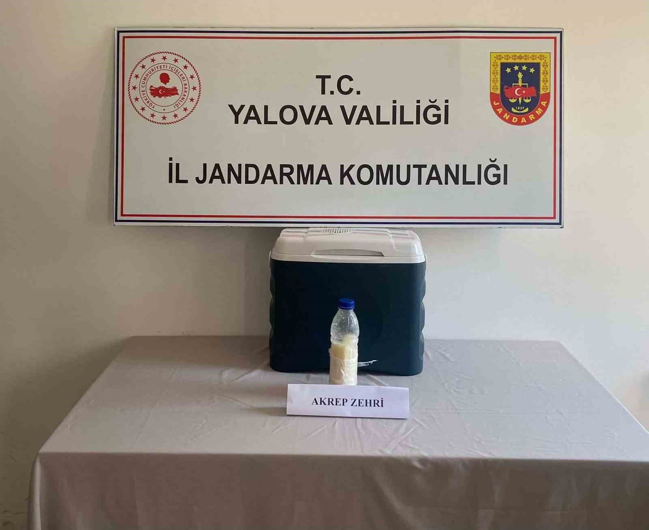 GRAMI ALTINDAN KATBEKAT DEĞERLİ OLDUĞU BELİRTİLEN AKREP ZEHRİ, YALOVA'DA JANDARMANIN OPERASYONUYLA...