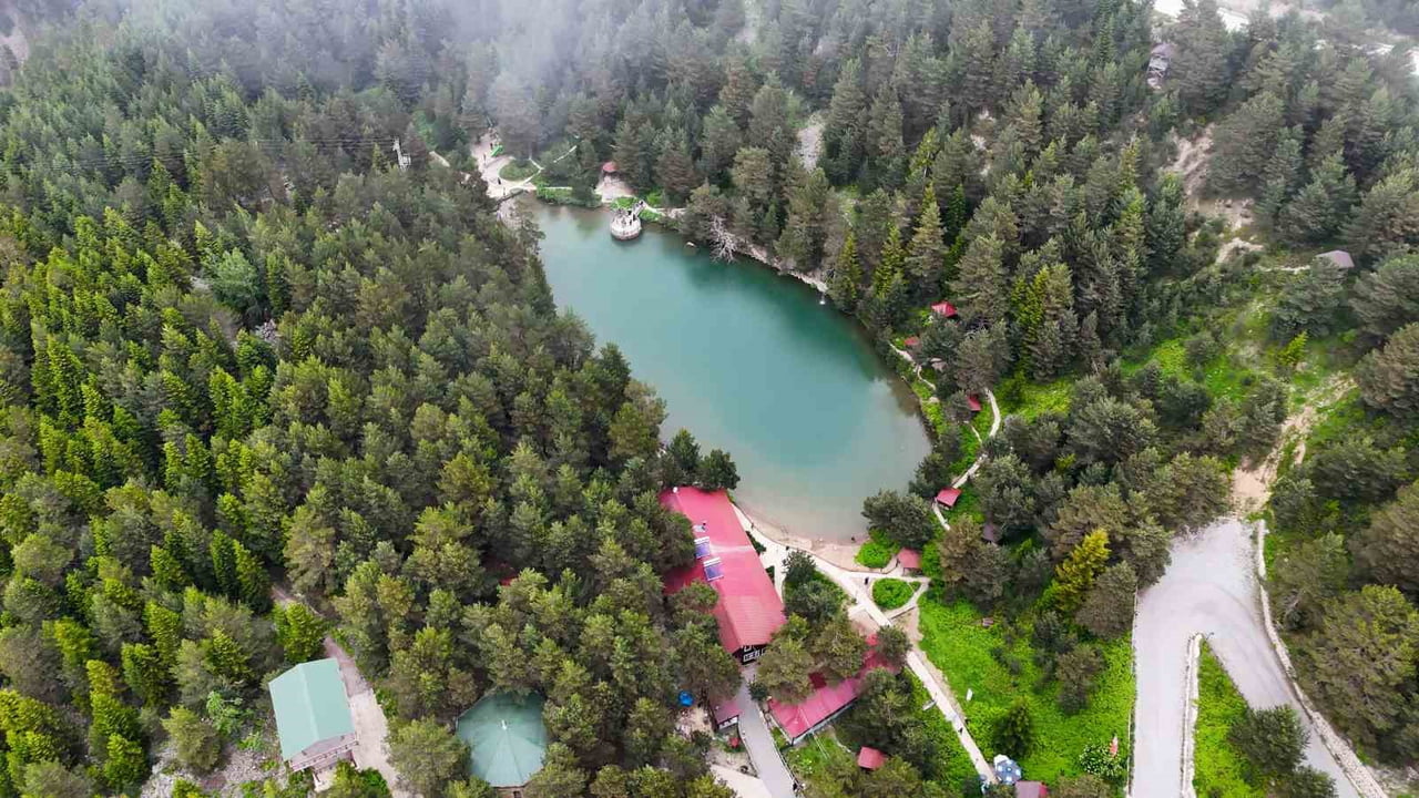 GÜMÜŞHANE’NİN TORUL İLÇESİNDEKİ LİMNİ GÖLÜ TABİAT PARKI, KAVURUCU SICAKLARDAN UZAKLAŞMAK İSTEYEN...