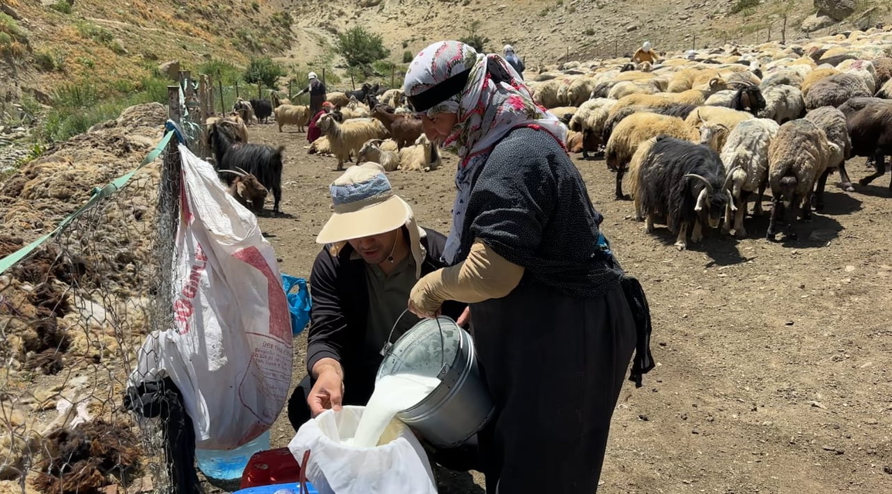 HAKKARİ'NİN YÜKSEKOVA İLÇESİNDE HAVALARIN ISINMASIYLA BİRLİKTE YAKLAŞIK BİR AY ÖNCE YAYLALARA...