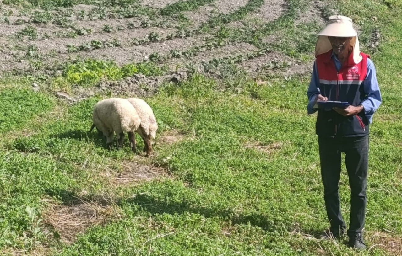 HAKKARİ'NİN YÜKSEKOVA İLÇESİNDE TARIMSAL ÜRETİMDE VERİMLİLİĞİ ARTIRMAK VE KAYNAKLARIN DOĞRU...