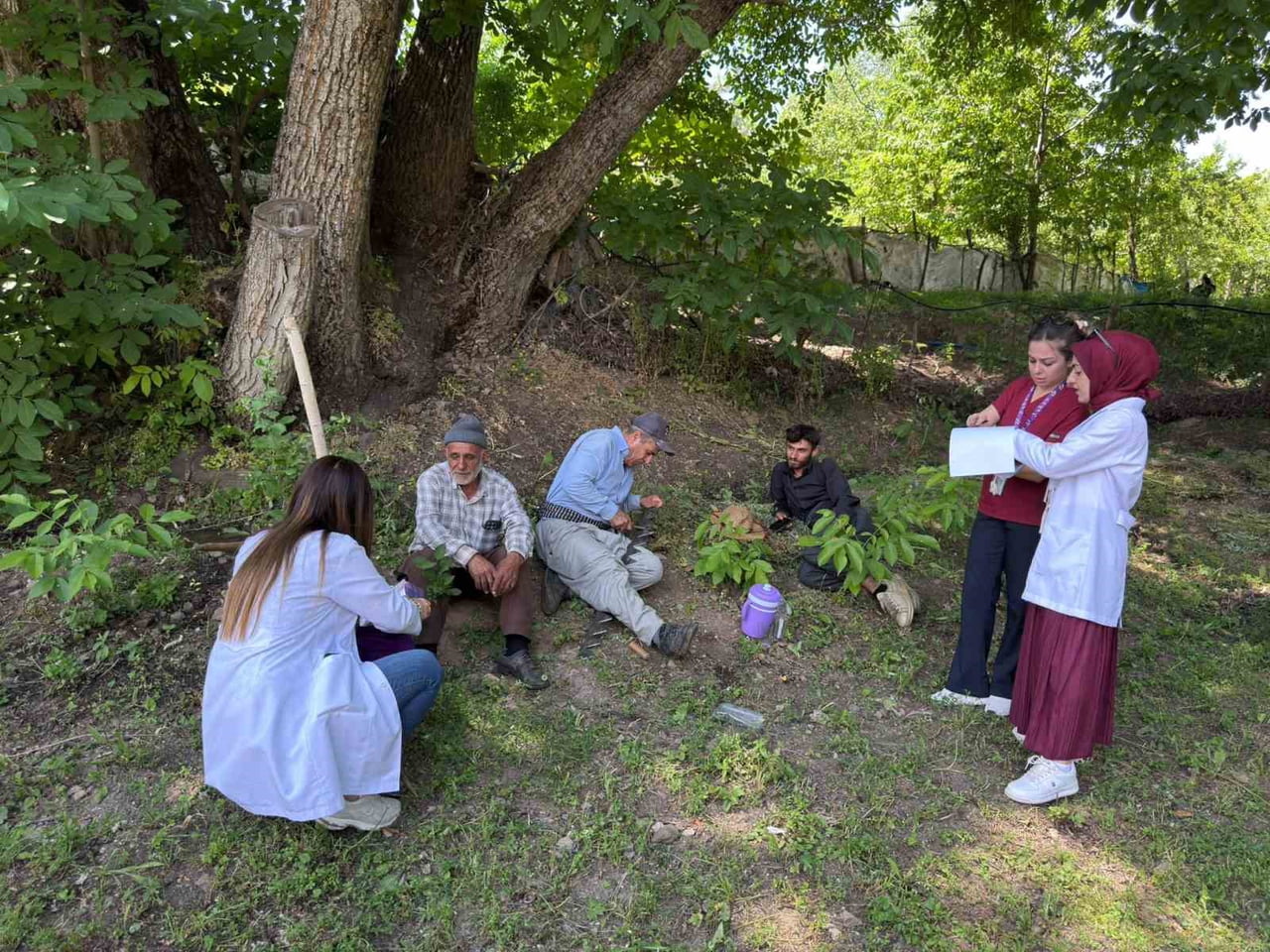 HAKKARİ DEVLET HASTANESİ KANSER ERKEN TEŞHİS, TARAMA VE EĞİTİM MERKEZİ (KETEM) MOBİL TARAMA EKİBİ...