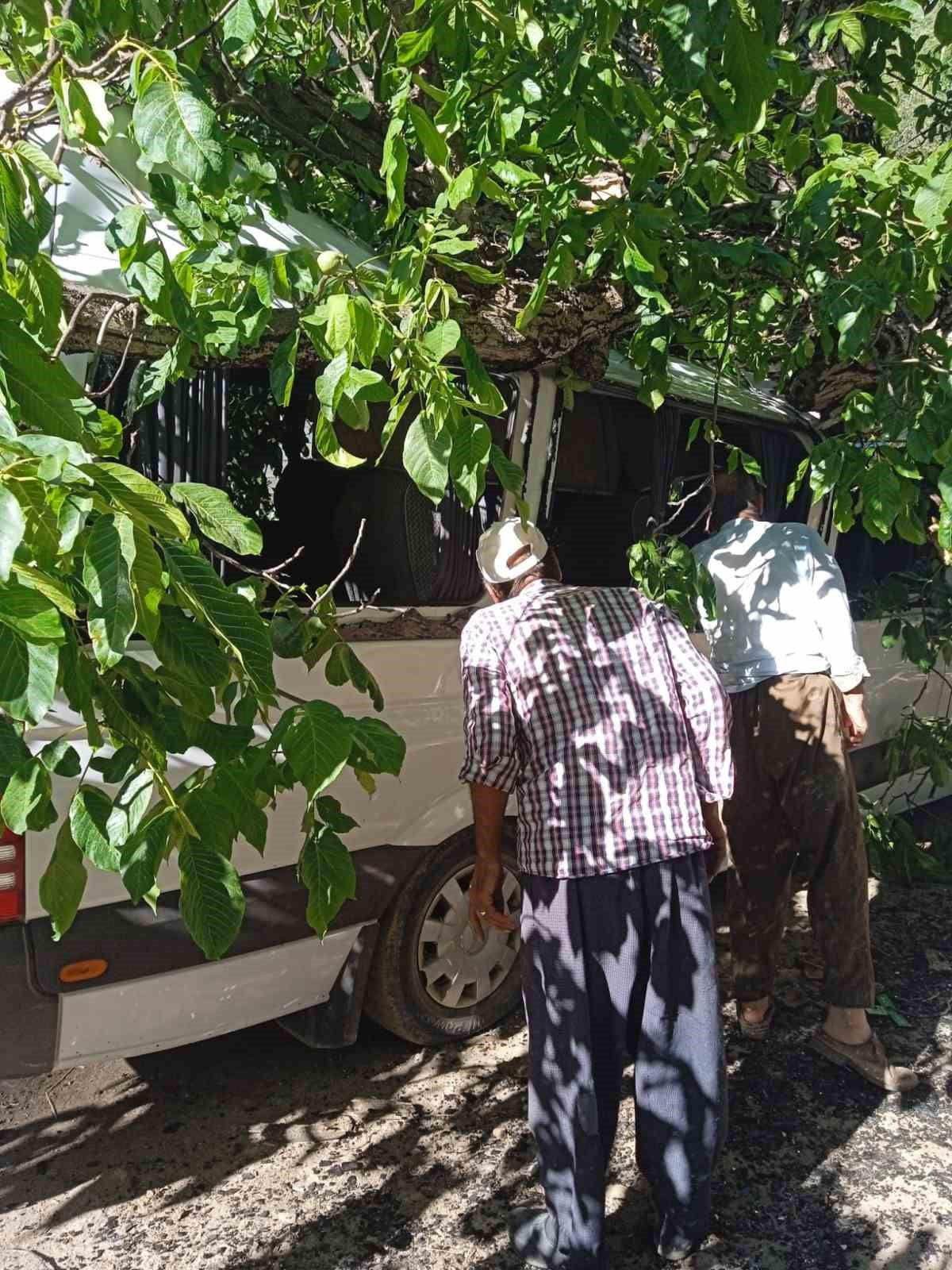 HAKKARİ’NİN ÇUKURCA İLÇESİNDE PARK HALİNDEKİ MİNİBÜSÜN ÜZERİNE CEVİZ AĞACI...