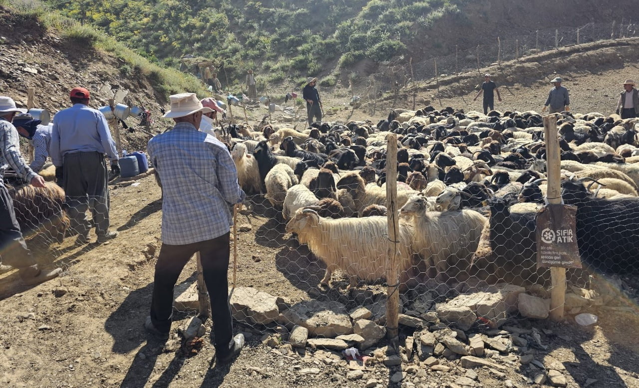 HAKKARİ’NİN YÜKSEKOVA İLÇESİNDE, ÜRETİCİLERİN MAĞDURİYET YAŞAMAMASI VE HAYVAN SAĞLIĞININ KORUNMASI...