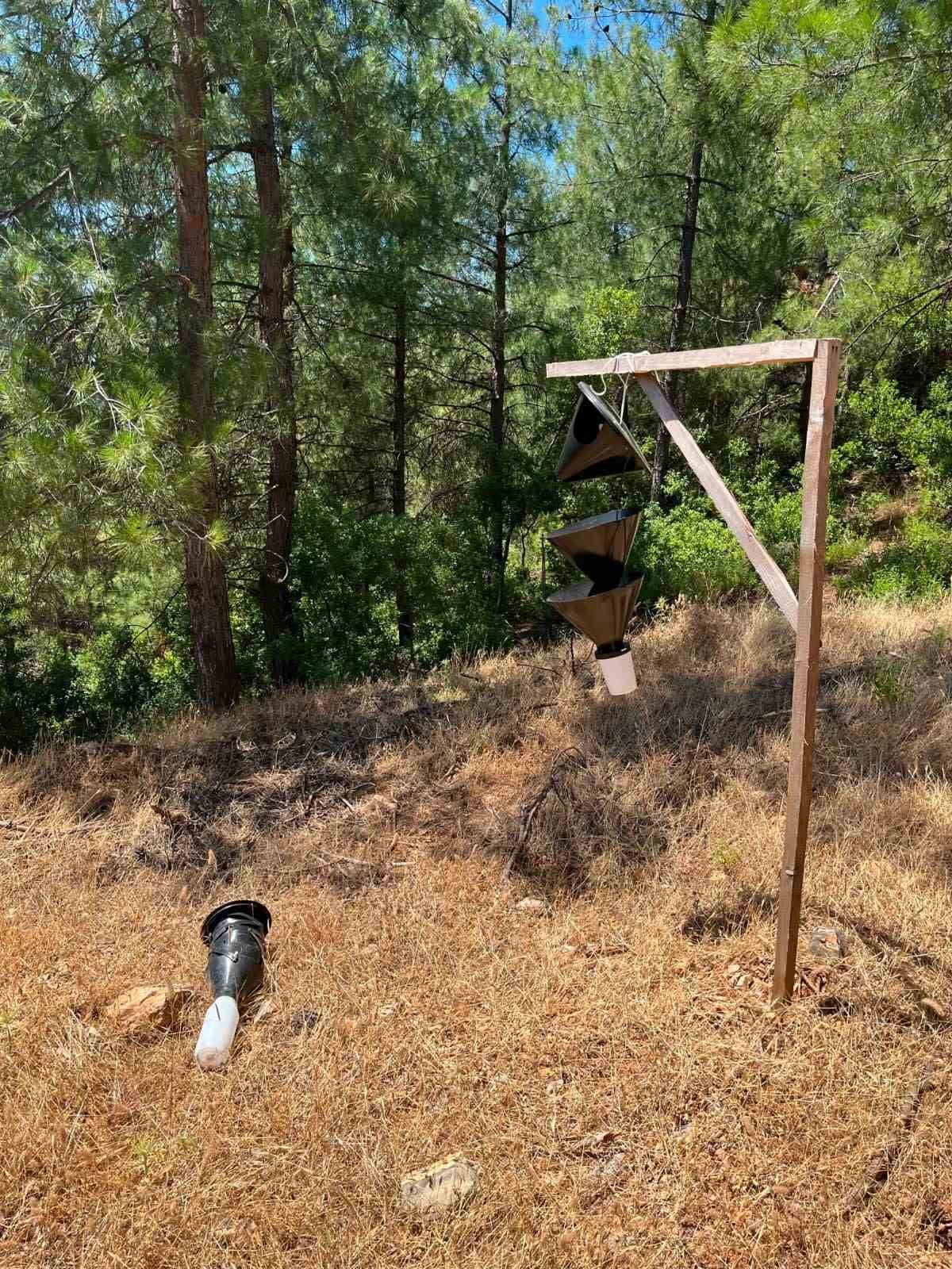 HASSA ORMAN İŞLETME ŞEFLİĞİ, ORMAN ZARARLISI BÖCEKLERE KARŞI KULLANILAN TUZAKLARA ZARAR...