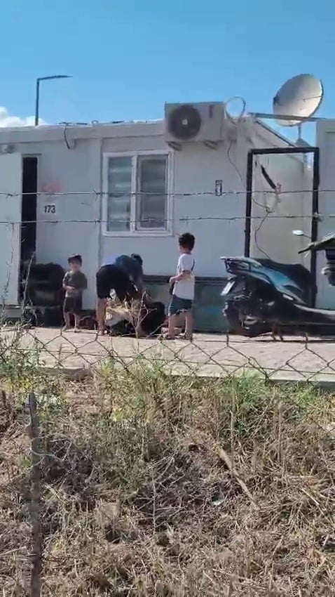 HATAY'DA EVLATLARININ GÖZÜ ÖNÜNDE ELİNDE BIÇAKLA KARISINI YERE YATIRIP ÖLDÜRESİYE DÖVEN ŞAHSIN O...