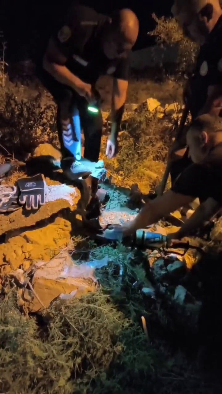 HATAY’DA DEMİR BORUNUN İÇİNE DÜŞEREK MAHSUR KALAN KİRPİ, 1 BUÇUK METRE DERİNLİKTEN İTFAİYE...