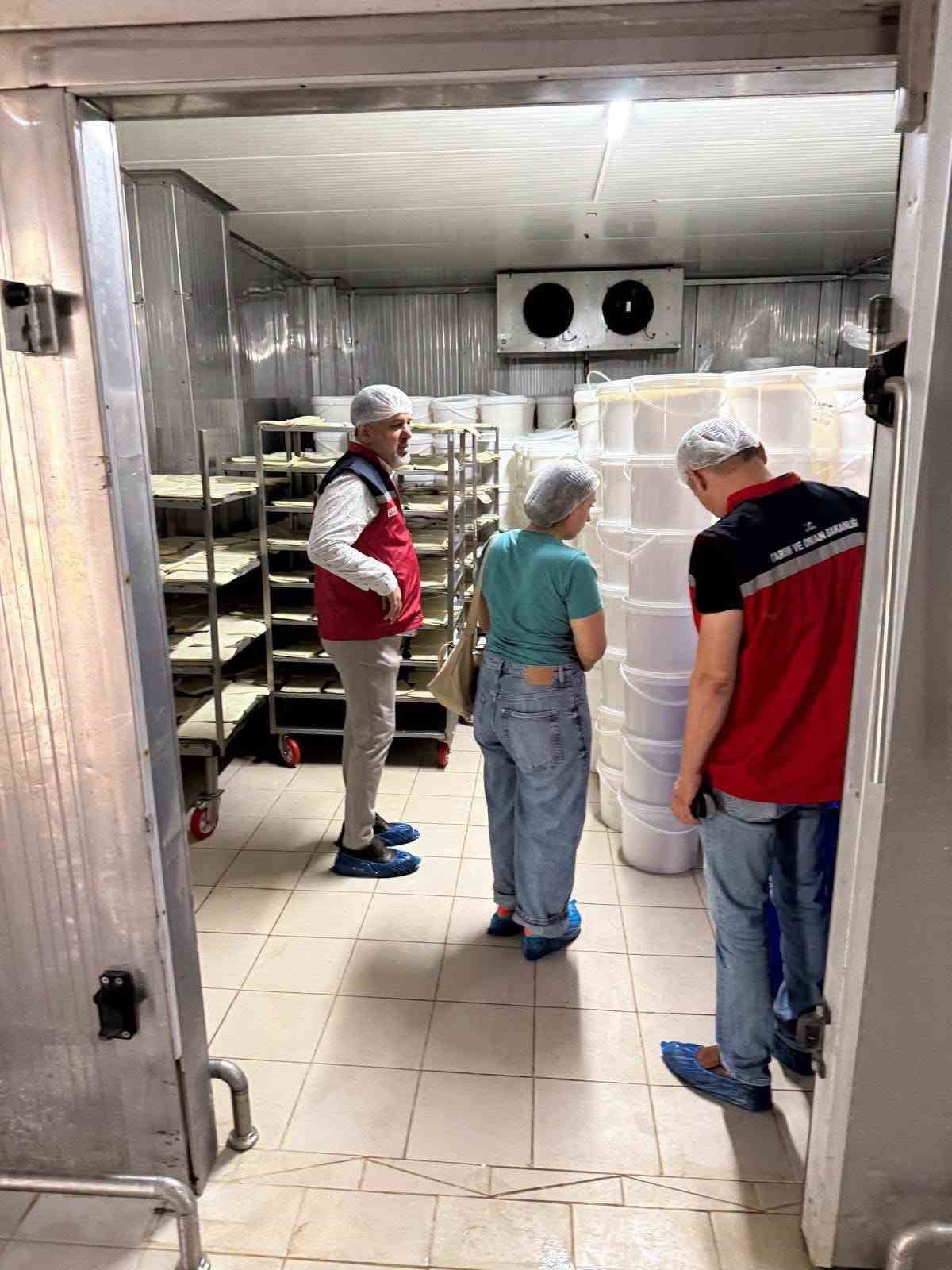 HATAY’DA GIDA KONTROL GÖREVLİLERİ TARAFINDAN ÜRETİM, SATIŞ VE TOPLU TÜKETİM İŞLETMELERİNDE DENETİM...