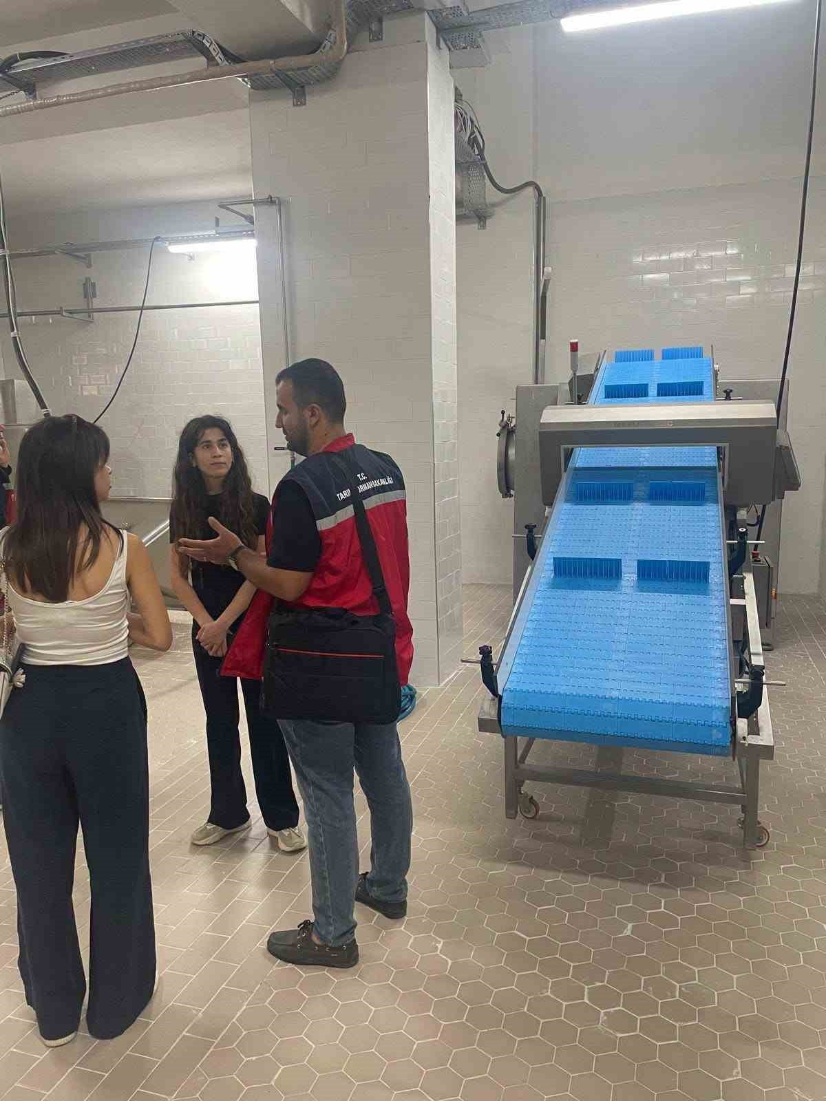 HATAY’DA KEDİ VE KÖPEK YAŞ MAMASI ÜRETİMİ YAPACAK TESİSTE, İL TARIM VE ORMAN MÜDÜRLÜĞÜ TEKNİK...