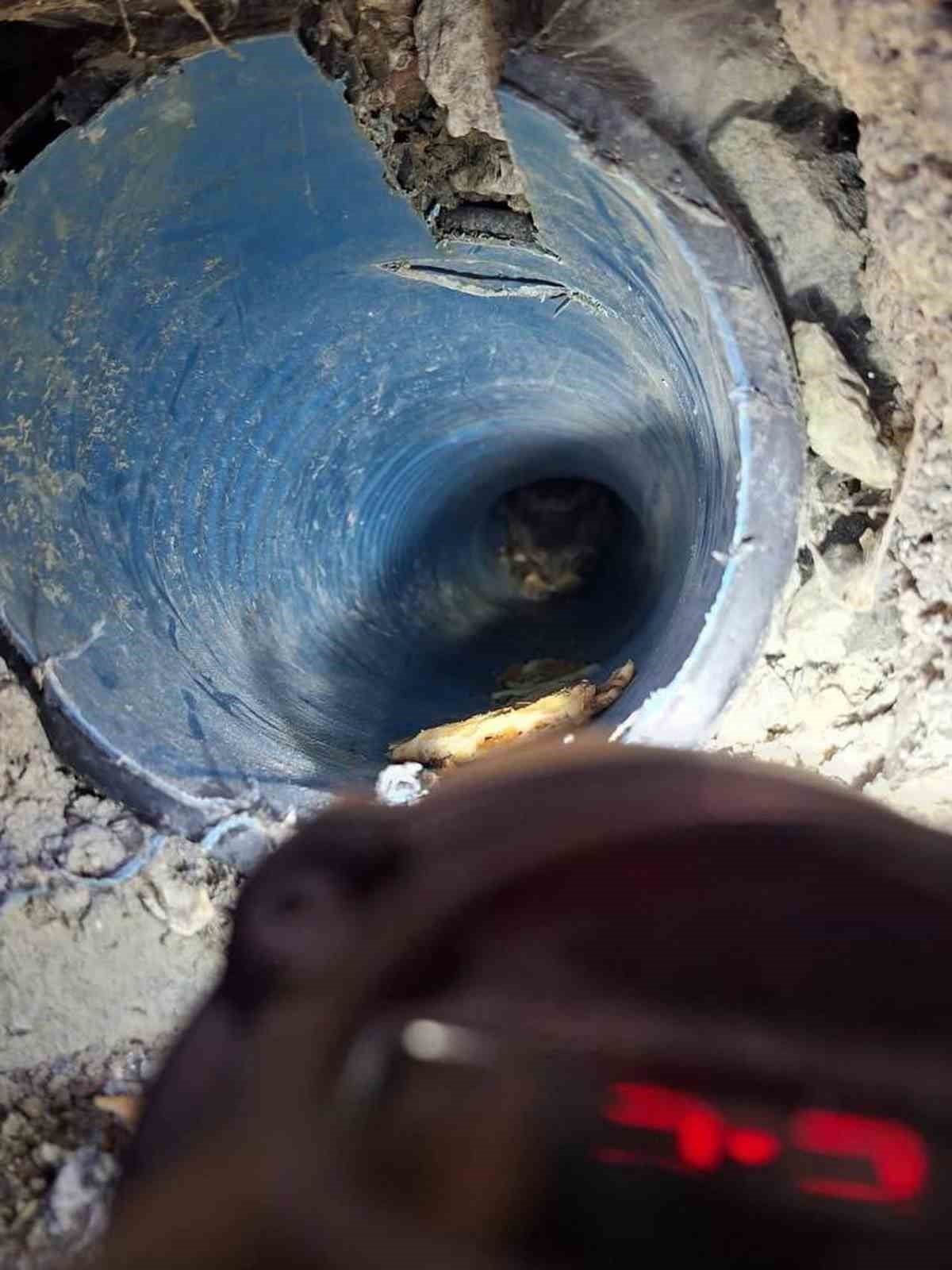 HATAY’DA KUYUYA DÜŞEREK MAHSUR KALAN KÖPEĞİ İTFAİYE KURTARDI.