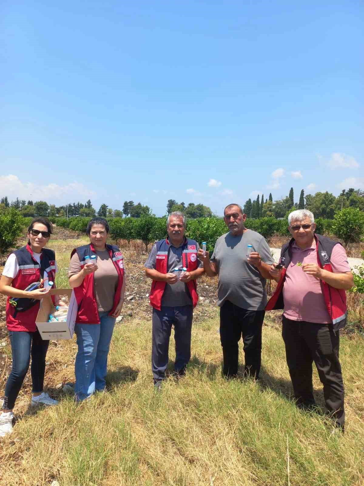 HATAY’DA NARENCİYE BAHÇELERİNDE BİYOLOJİK MÜCADELE KAPSAMINDA FAYDALI BÖCEK SALIMI...