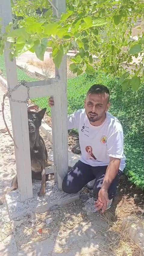 HATAY’DA SAHİPLİ BELÇİKA KURDU CİNSİ KÖPEK, ELEKTRİK DİREĞİNE ASILARAK TELEF EDİLDİ. HAYVANSEVER...