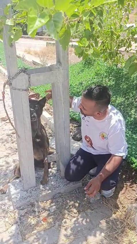 HATAY’DA SAHİPLİ BELÇİKA KURDU CİNSİ KÖPEK, ELEKTRİK DİREĞİNE ASILARAK TELEF EDİLDİ. HAYVANSEVER...